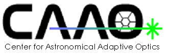 CAAO Logo